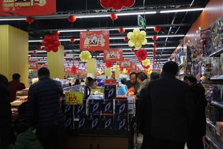 駐馬店市多樂多超市開業慶典暨精準扶貧公益活動啟動儀式盛大啟幕